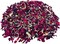 1200ml Wedding Confetti Dried Flower Petals, 100% Natural & Biodegradable Red Rose, Lavender & Jasmine Mix, Real Dried Petals for Wedding Toss, Flower Girl Baskets & Romantic Table Decor (115g)